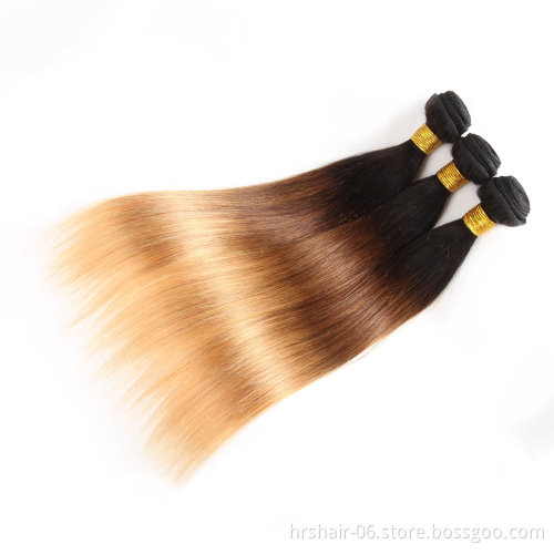 Ombre Brazilian Straight Hair Ombre Bundles With Closure, 3 Ombre Hair Bundles With Lace Closure T1b/4/27